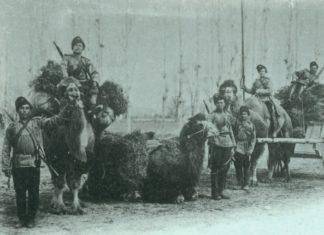 Да ли сте знали да је совјетска Црвена армија имала тзв. „камиљи батаљон“?