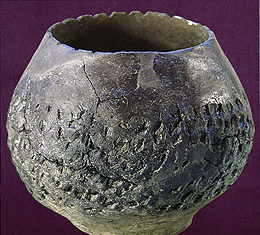 Нова сазнања о неолитским и старчевачким насељима уз Тису