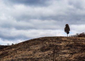 Пустиња – простор радикалног суочавања са проблем здравља и болести