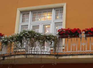 Кратка историја Новог сада под од првих становника до првог трамваја