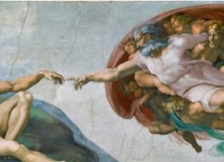 Стеван Стефановић: Еволуција или креационизам