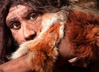 Да ли су и неандерталци сахрањивали своје мртве са цвећем?