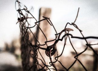 Виктор Франкл: Буквално смо заборавили да се радујемо и треба то поново да учимо