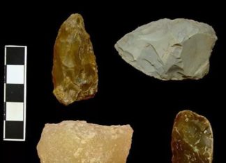 Неандерталац из Сићева: Нова археолошка открића у Србији мењају историју човечанства