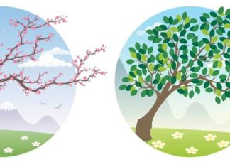 ДАНИ КОЈИ СУ НЕСТАЛИ ИЗ КАЛЕНДАРА