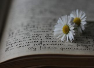 МОЛИТВА – Момчило Настајевић