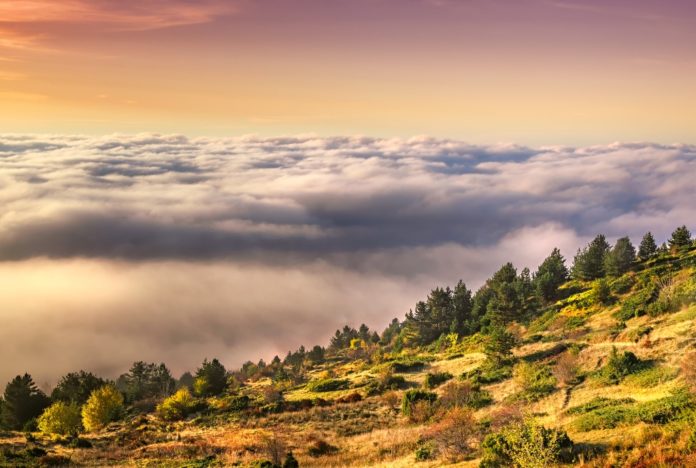 kajmakcalan__1__766161771