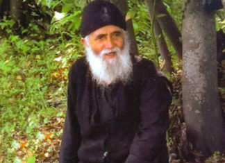 СТАРАЦ ПАЈСИЈЕ СВЕТОГОРАЦ: ЉУДИ МУВЕ И ЉУДИ ПЧЕЛЕ