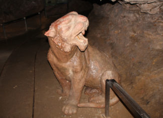 ПАЛЕОЛИТ СРБИЈЕ: ЛАВ, МАМУТ И БИЗОН – УПОЗНАЈТЕ ФАУНУ ПЕЋИНЕ РИСОВАЧА