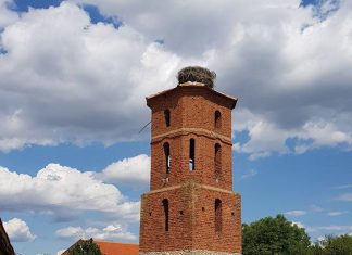 Босиљка Рајчић – света мученица из Пасјана крај Гњилана