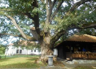 „ЧУДА И ЗНАМЕЊА“ – КЛЕВЕТА НА ПРАВОСЛАВЉЕ