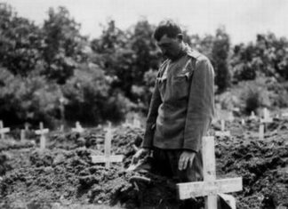 Приче из Великог рата: Писмо погинулом брату