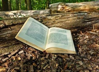 Заборављене речи старе Србије, лепше од оних којима су замењене