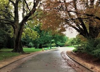 Жак Превер: Башта