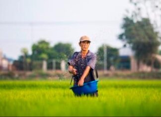 Сејач среће