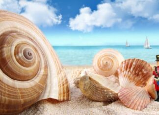 Александар ЋУКОВИЋ: Окупација