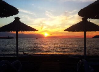 Бранко М. ЈОВАНОВИЋ: Залазак