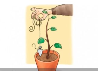 Др Зоран Миливојевић: Људи који се труде да контролишу све око њих