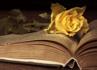 Гордан К. Чампар: ДУША