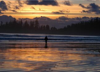 Жељка Башановић Марковић: ТАЈНА