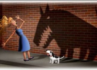 Шта је – Специфична фобија? Када се јавља и како се лечи