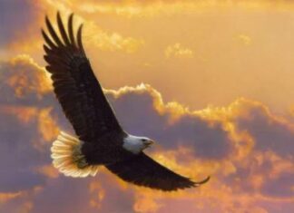 ОСЛОБОЂЕНИ ЗАРОБЉЕНИК