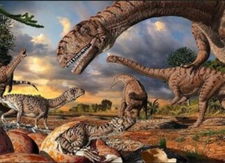 Свештеник Горан ЖИВКОВИЋ: Помињу ли се диносауруси у Библији?