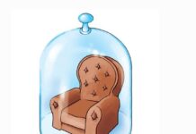 Др Зоран Миливојевић: ЗОНА УДОБНОСТИ