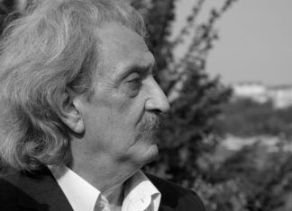 Перо Зубац: Моја те реч дотакла