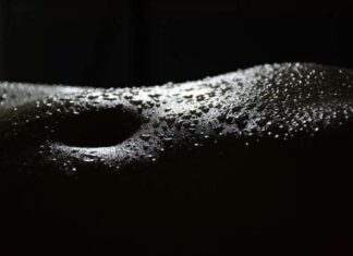 Жаклина Багаш: ЖЕЂ