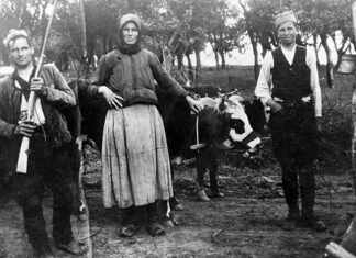 Топлички устанак:”Трећи српски устанак” у ком је живот изгубило 20 хиљада људи и запаљено 55 српских села