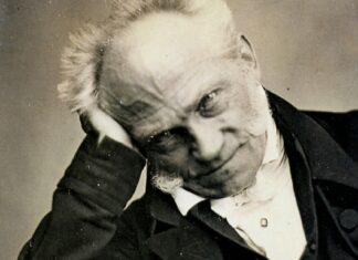 Шопенхауер: Метафизика лепог