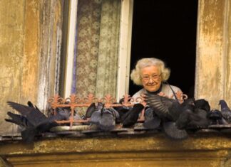 Жељка Башановић Марковић: Намигивање