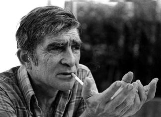 Мика Антић: Бесмртна Песма