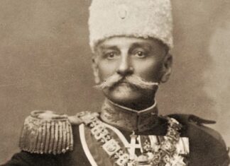 Стеван Стефановић: Царински рат