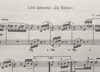 Коме је Бетовен посветио „За Елизу“