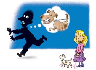 Зоран Миливојевић: Не пројектуј се