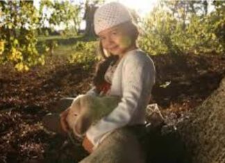 Лабуд Н. Лончар: Јагње и дијете