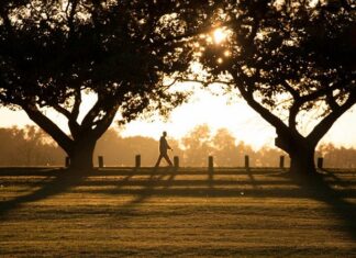 Миленко Шарац: Шетња