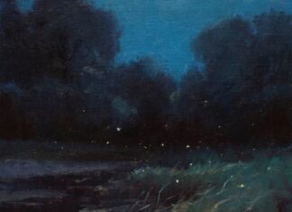 Бранко В. Радичевић: СВАКЕ НОЋИ