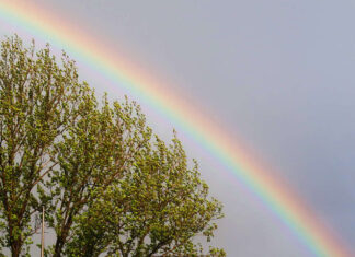 Свештеник Ненад Илић: Људи не могу да живе без повезаности