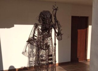 Свештеник др Угрин Поповић: Скулптура Патријарха, докле бре?!