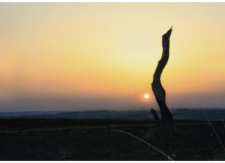 Лабуд Н. Лончар: Сачувати од заборава