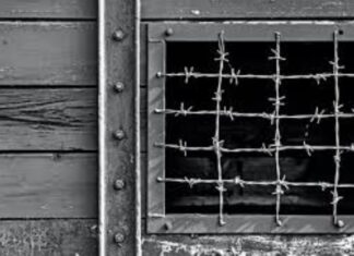 Милош Лалатовић: Јасеновац – земља живих