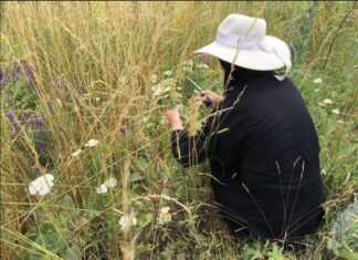 ЧУДО ИНТЕРВЈУ – Здравље из Божије апотеке манастира светог апостола Томе – Томић