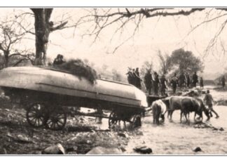 Јелена Недељковић: Битка код Чеврнтије – голгота Девете Тимочке дивизије