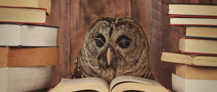 aa8cbd04d166048b35cc11f53fa2bcea-hero