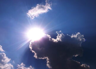 Жељка Башановић Марковић: Игра