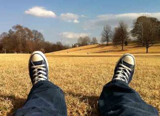 Давид Албахари: Вратимо недељу