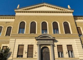 Најстарија институција која чува идентитет Срба: Kако је основана Матица српска?